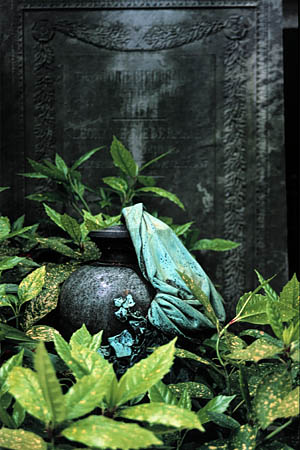 draped urn in foliage
